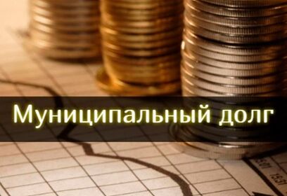 Итоги ЭАМ «Обследование по вопросу состояния и обслуживания муниципального долга в Одинцовском городском округе за 6 месяцев 2025 года»