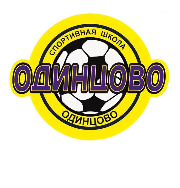 Проверка использования бюджетных средств МБУ ДО СШ «Одинцово»