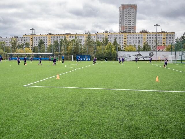 Открытие обновленного футбольного стадиона в городе Одинцово
