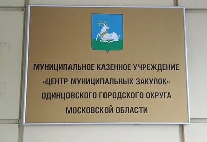 Информация о подготовке к проведению контрольного мероприятия КСП Одинцовского городского округа